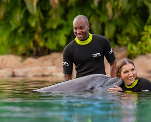 TREASURED HOLIDAY TRAVELS TO VARIOUS PLACES!!! cover photo collage