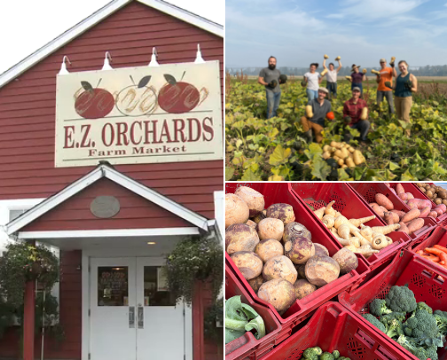 🌻 Pacific Northwest Farm Stands You Don’t Want to Miss Around Salem, Oregon! 🍓🌽 cover photo collage