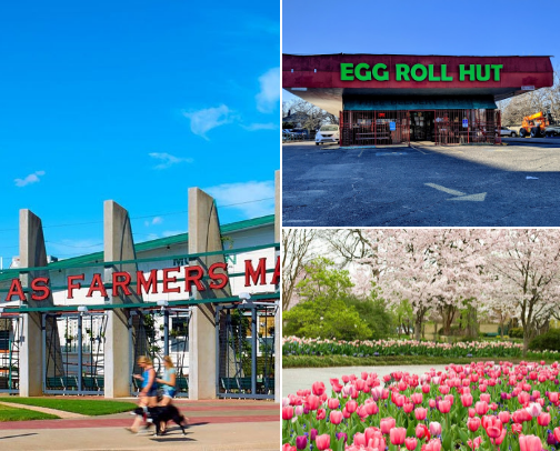 My Favorite Places in DFW,TX and Surrounding areas 😄 cover photo collage