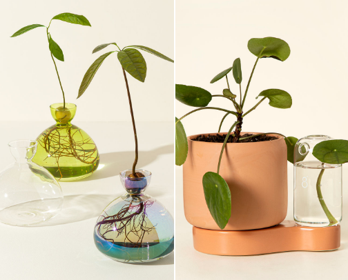 Propagation station energy cover photo collage