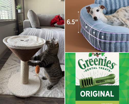 All things PETS 🐶🐱🐾 cover photo collage