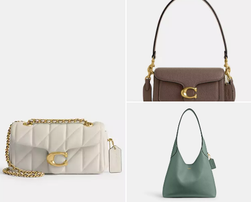 Coach Bags🍂🤩 cover photo collage