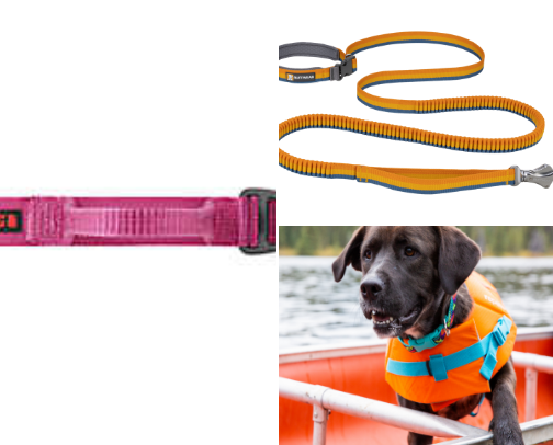 Big Dog Basics! cover photo collage