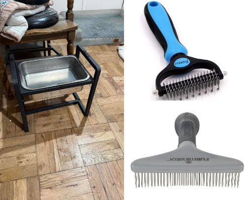 Big Dogs, Big Finds! 🐾 cover photo collage