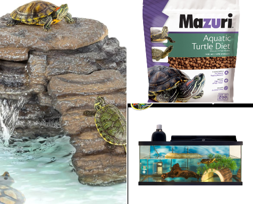 Everything You Need for a Healthy Turtle Tank cover photo collage
