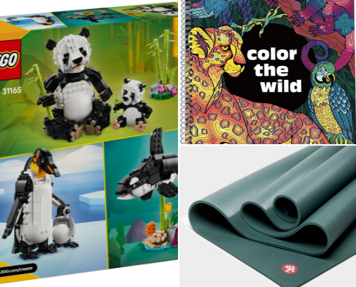 hobbies cover photo collage