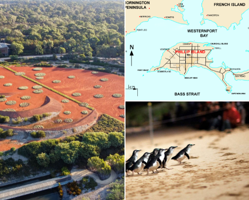 Things to do in Melbourne cover photo collage