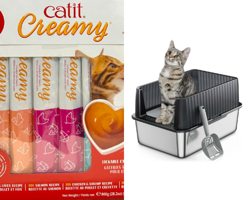 The life of luxury for my cats cover photo collage