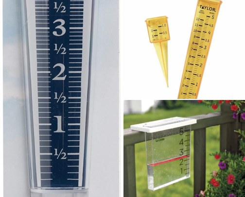 I Stopped Guessing When My Garden Needs Water and Everything Changed cover photo collage