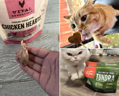 Healthy Freeze-Dried Cat Treat List cover photo collage