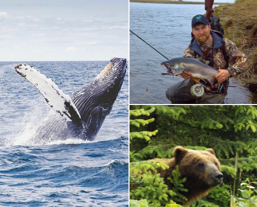 Top things to do in Icy Strait Point, Alaska cover photo collage