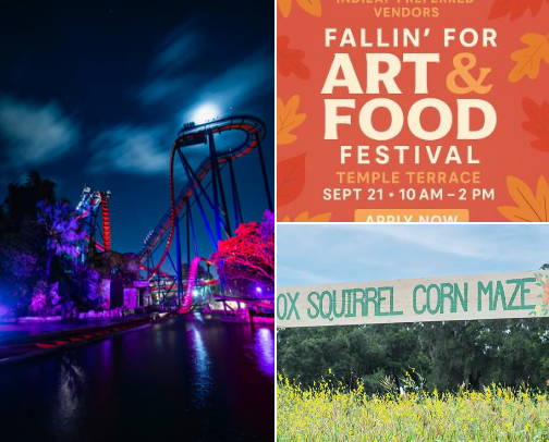 Tampa Fall Activities cover photo collage