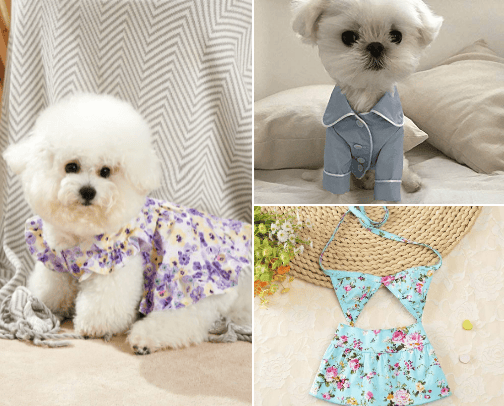 Be the coolest dog on the block-Clothing & Hair Accessories 🎀🕶️ cover photo collage
