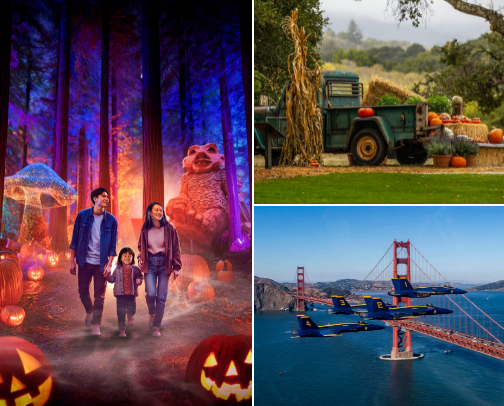 SF Bay Area Fall Bucket List cover photo collage