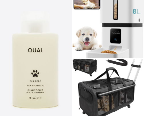 THE BOUJEE CAT OWNER GUIDE: cover photo collage