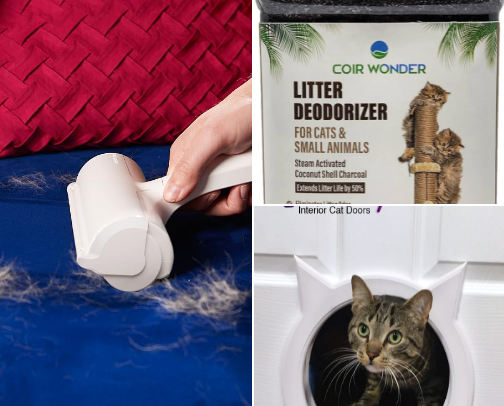 Cat Essentials 🐈‍⬛ cover photo collage