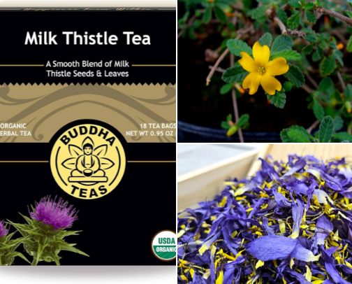 What's In My Tea Collection? o.o - With Herbal Benefits cover photo collage
