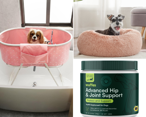 My Dog's Favorite Things! cover photo collage