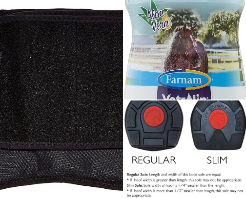 Spring Conditioning for Horse & Rider cover photo collage