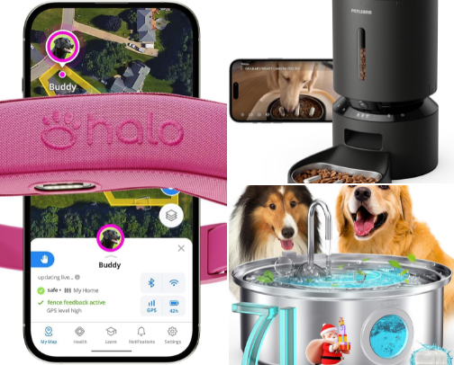 Professional Dog Sitter Recommendations cover photo collage