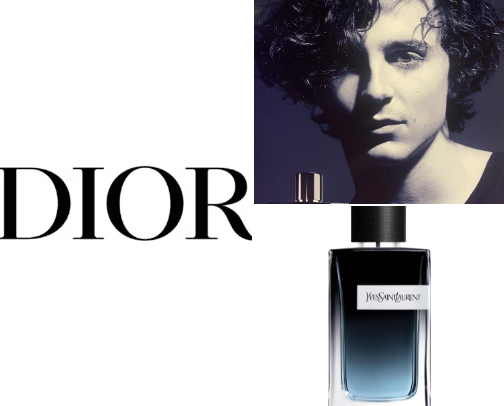 BEST Men's perfumes cover photo collage
