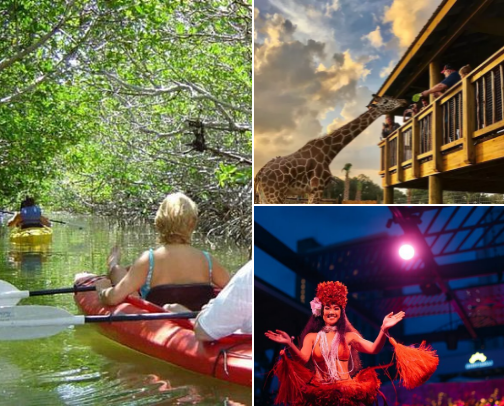 Top Places To Visit During Winter Vacation Pt. 2 cover photo collage