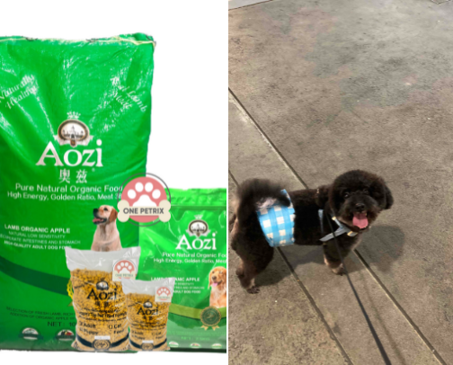 Baileysharkpoo’s picks cover photo collage