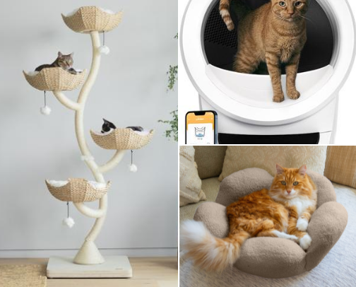 Aspen's Favs: Chic Cat Mom Essentials cover photo collage