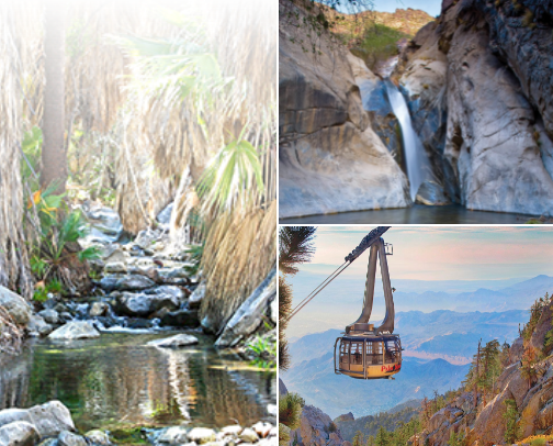 Palm Springs, CA 🌵🌴🌺🦩 cover photo collage