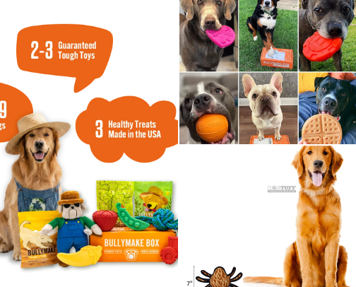 Because Dogs Deserve the Best Stuff cover photo collage
