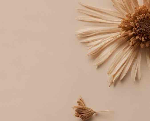 Affordable skincare for healthy and glowy skin✨ cover photo collage