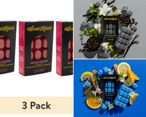 Walmart Wax Melts Under $10 That Smell Like $300 Perfume cover photo collage