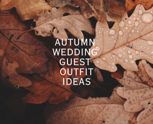 Fall Wedding Guest Dresses cover photo collage