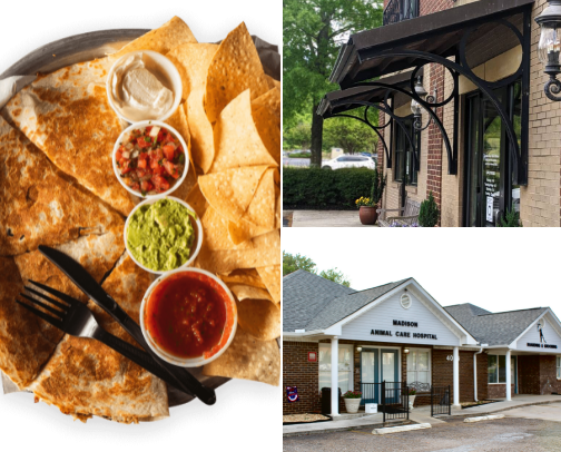 My top Madison recs cover photo collage