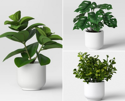 Faux Plants cover photo collage