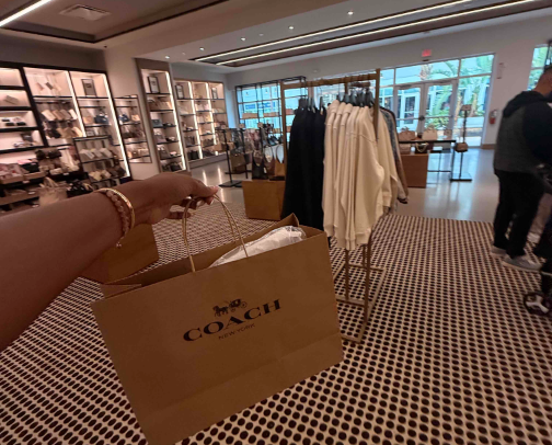 what’s in my car bag ? 👛✨ cover photo collage