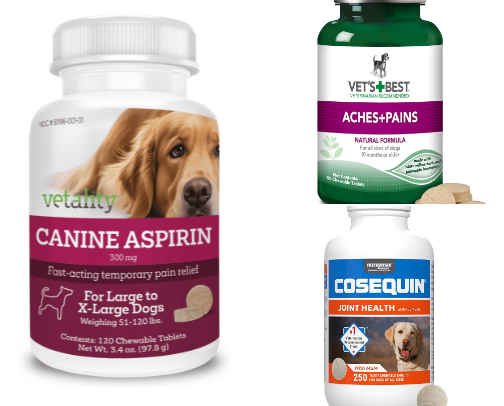 Senior Dog must haves for the golden years cover photo collage