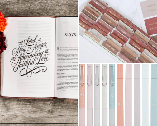 Bible Study Essentials ✨ 
Bibles, Devotionals & Study Tools cover photo collage