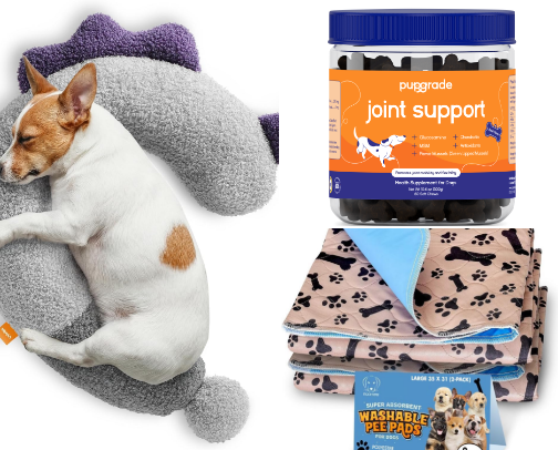 Senior Dog Care That Actually Works (Comfort, Mobility + Daily Life Fixes) cover photo collage