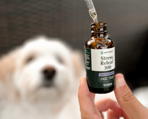 Cbd product cover photo collage