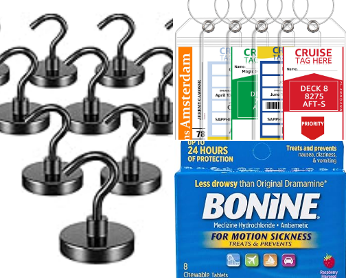 Cruise Ship Essentials cover photo collage