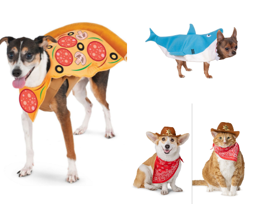 🎃 Viral Pet Costumes Your Pet NEEDS for 2025 cover photo collage