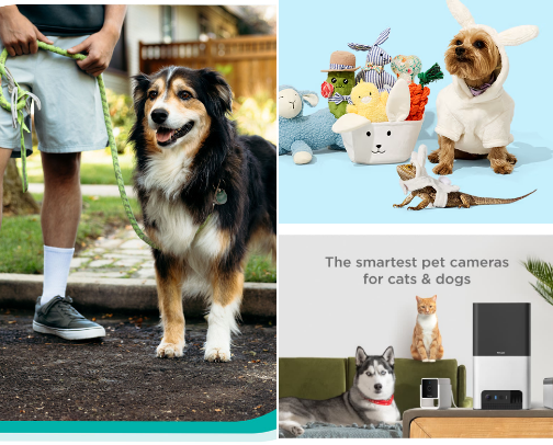Pet Lovers & Essentials (Cat, Dog and etc.) cover photo collage