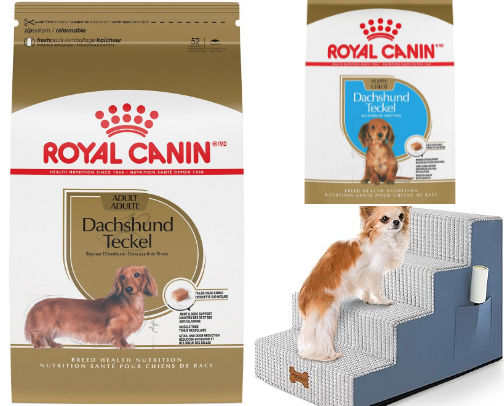 Dachshund recs cover photo collage