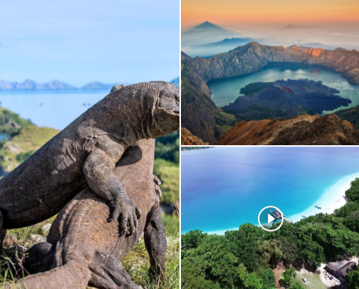 Indonesia's Wild Side: Untamed Natural Escapes cover photo collage