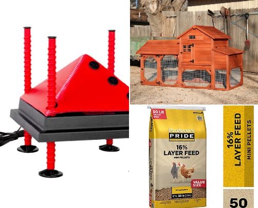 Back yard chicken supplies cover photo collage