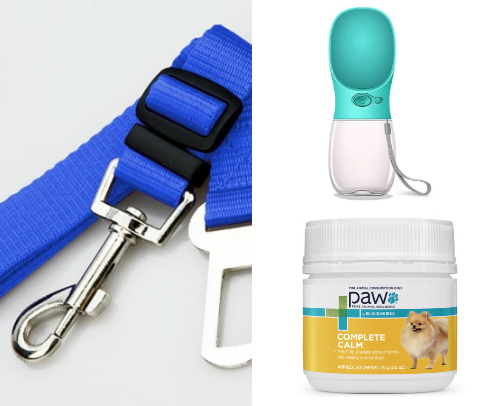 Walking and travelling essentials for your pup cover photo collage