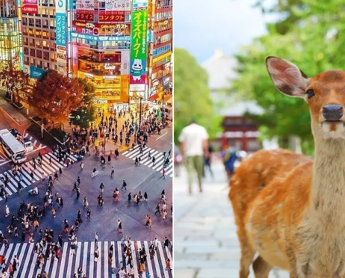 Japan-off the beaten path cover photo collage