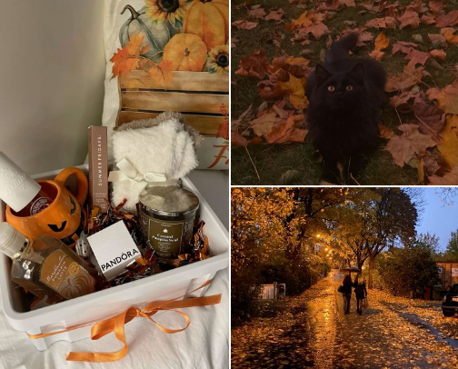 Autumn basket🍁🍂 cover photo collage