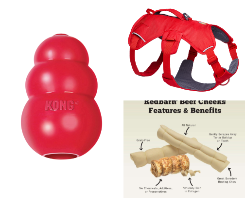 Skipper the Adventure Pup Approved 🐶✅ cover photo collage